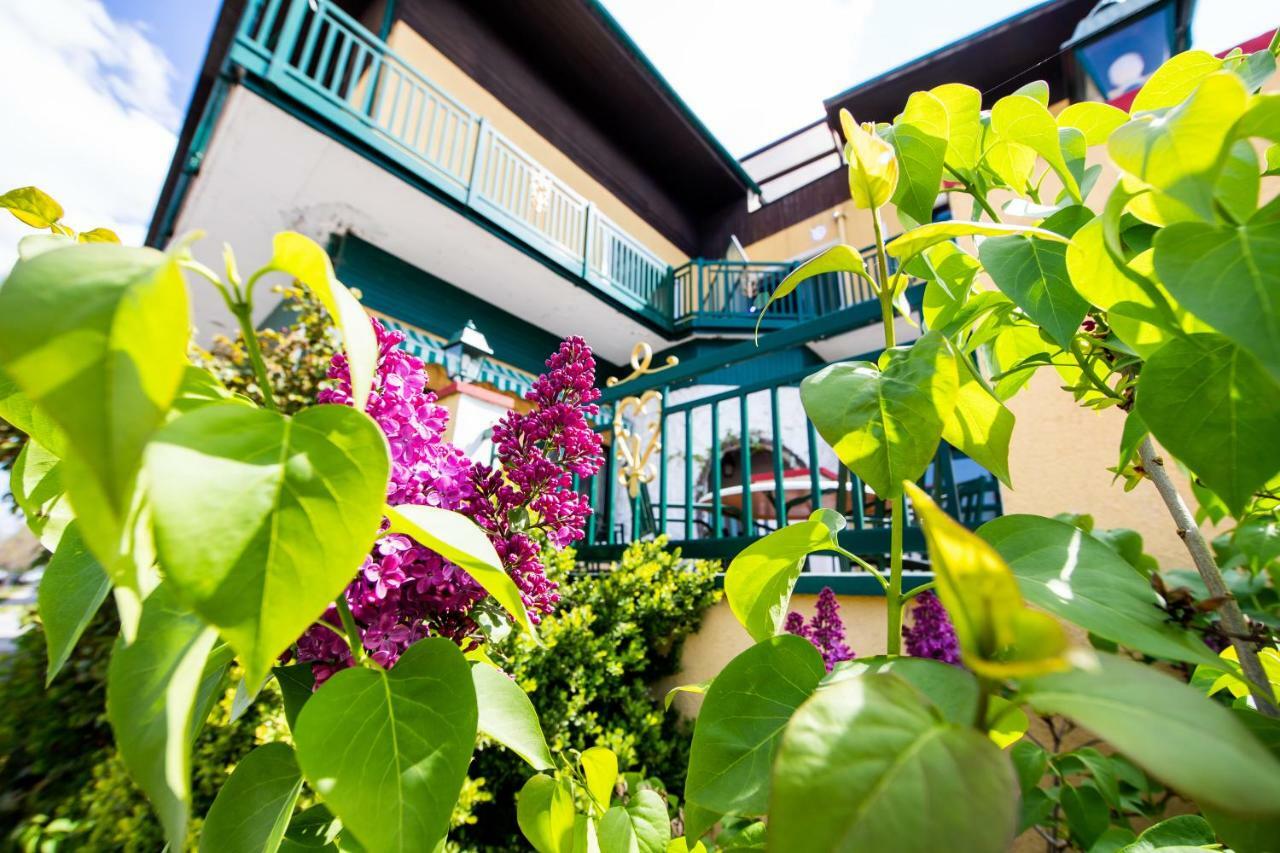 Landgasthof Zur Goldenen Traube Podersdorf am See Ngoại thất bức ảnh